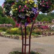 ヒメ日記 2025/06/02 17:06 投稿 ゆり エディーズ