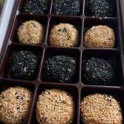 ヒメ日記 2025/06/09 20:52 投稿 ゆり エディーズ