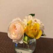 ヒメ日記 2025/06/10 10:02 投稿 ゆり エディーズ