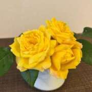 ヒメ日記 2025/06/17 10:04 投稿 ゆり エディーズ