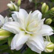 ヒメ日記 2025/06/19 12:47 投稿 ゆり エディーズ