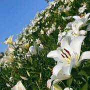 ヒメ日記 2025/06/22 08:06 投稿 ゆり エディーズ