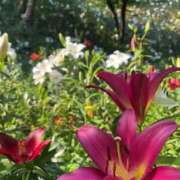 ヒメ日記 2025/06/24 08:57 投稿 ゆり エディーズ