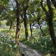 ヒメ日記 2025/06/27 11:06 投稿 ゆり エディーズ