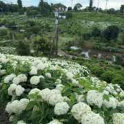 ヒメ日記 2025/06/28 06:16 投稿 ゆり エディーズ