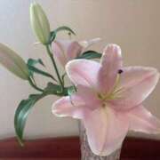 ヒメ日記 2025/08/11 09:56 投稿 ゆり エディーズ