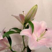 ヒメ日記 2025/08/13 09:35 投稿 ゆり エディーズ