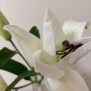 ヒメ日記 2025/10/14 08:28 投稿 ゆり エディーズ