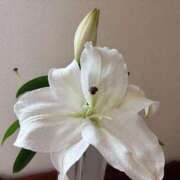 ヒメ日記 2025/10/17 11:16 投稿 ゆり エディーズ