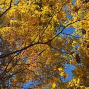 ヒメ日記 2025/10/29 15:56 投稿 ゆり エディーズ