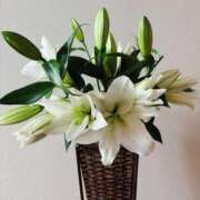 ヒメ日記 2025/11/04 08:59 投稿 ゆり エディーズ