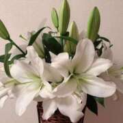 ヒメ日記 2025/11/06 16:16 投稿 ゆり エディーズ