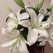 ヒメ日記 2025/11/09 07:36 投稿 ゆり エディーズ