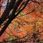 ヒメ日記 2025/11/20 10:11 投稿 ゆり エディーズ