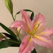 ヒメ日記 2025/12/20 08:56 投稿 ゆり エディーズ