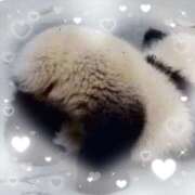 ヒメ日記 2026/01/27 13:42 投稿 ゆずは♡某高級店出身 ラヴァーズ