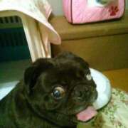 ヒメ日記 2025/12/12 17:15 投稿 豊田美奈 五十路マダム 博多店