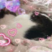 ヒメ日記 2025/12/12 18:00 投稿 豊田美奈 五十路マダム 博多店