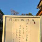 ヒメ日記 2025/12/19 11:27 投稿 豊田美奈 五十路マダム 博多店