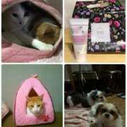 ヒメ日記 2025/12/27 20:15 投稿 豊田美奈 五十路マダム 博多店