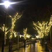 ヒメ日記 2025/12/30 21:30 投稿 豊田美奈 五十路マダム 博多店