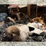 ヒメ日記 2026/01/01 16:07 投稿 豊田美奈 五十路マダム 博多店