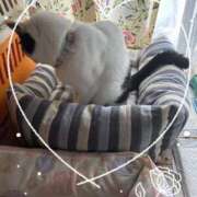 ヒメ日記 2026/01/05 16:37 投稿 豊田美奈 五十路マダム 博多店