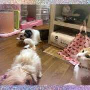 ヒメ日記 2026/01/14 19:15 投稿 豊田美奈 五十路マダム 博多店