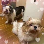 ヒメ日記 2026/01/18 20:30 投稿 豊田美奈 五十路マダム 博多店