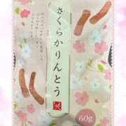 ヒメ日記 2026/01/26 15:27 投稿 豊田美奈 五十路マダム 博多店