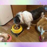 ヒメ日記 2026/01/28 16:30 投稿 豊田美奈 五十路マダム 博多店