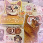 ヒメ日記 2026/02/03 16:30 投稿 豊田美奈 五十路マダム 博多店