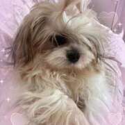 ヒメ日記 2026/02/04 21:33 投稿 豊田美奈 五十路マダム 博多店