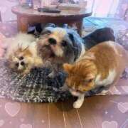 ヒメ日記 2026/02/13 16:57 投稿 豊田美奈 五十路マダム 博多店