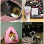 ヒメ日記 2026/02/22 21:43 投稿 豊田美奈 五十路マダム 博多店