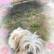 ヒメ日記 2026/03/28 19:30 投稿 豊田美奈 五十路マダム 博多店