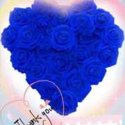 ヒメ日記 2026/03/28 19:40 投稿 豊田美奈 五十路マダム 博多店