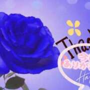 ヒメ日記 2026/04/07 18:45 投稿 豊田美奈 五十路マダム 博多店