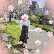 ヒメ日記 2026/04/08 15:15 投稿 豊田美奈 五十路マダム 博多店