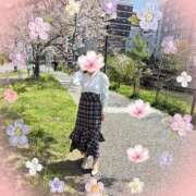 ヒメ日記 2026/04/08 15:32 投稿 豊田美奈 五十路マダム 博多店