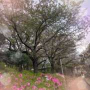 豊田美奈 来週かな 五十路マダム 博多店