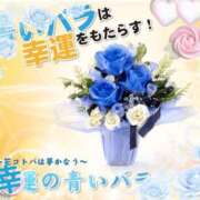 ヒメ日記 2026/08/06 21:57 投稿 豊田美奈 五十路マダム 博多店