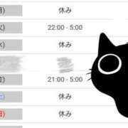 ヒメ日記 2024/11/25 01:03 投稿 しみず 五反田人妻城