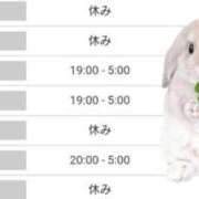 ヒメ日記 2025/04/27 20:18 投稿 みくに 丸妻 五反田店