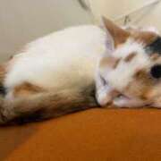 ヒメ日記 2025/05/06 23:11 投稿 スズキ 名古屋★出張マッサージ委員会