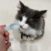 ヒメ日記 2026/03/22 02:01 投稿 スズキ 名古屋★出張マッサージ委員会