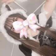 ヒメ日記 2024/12/23 06:45 投稿 きい 素人系イメージSOAP 彼女感 宇都宮本館