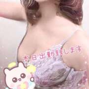 ヒメ日記 2025/08/13 09:36 投稿 城田 熟女の風俗最終章 新横浜店