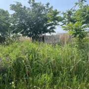 ヒメ日記 2025/05/06 07:15 投稿 あすか 奥鉄オクテツ東京店（デリヘル市場）