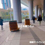 ヒメ日記 2025/11/06 10:00 投稿 あすか 奥鉄オクテツ東京店（デリヘル市場）